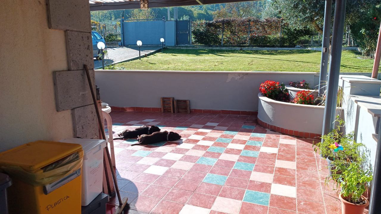 Clicca per ingrandire